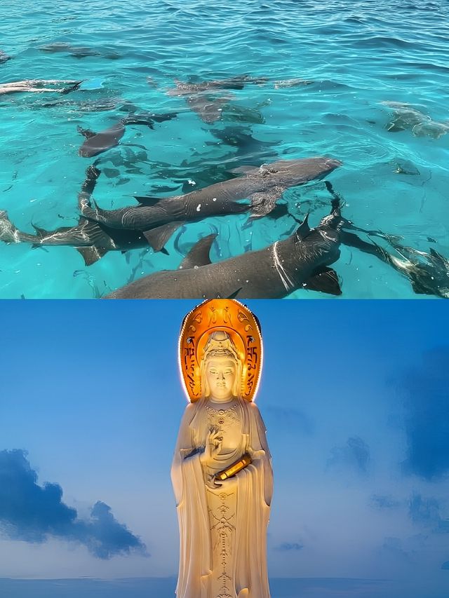 哦！海南還有這樣的小眾玩法！