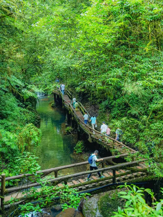 เพิ่งกลับมา! สถานการณ์ปัจจุบันของภูเขาหลังเมืองชิงเฉิง! ดูก่อนแล้วค่อยตัดสินใจว่าจะมาหรือไม่