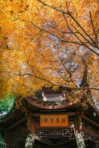 來冷門的瑪瑙寺，賞台灣工藝歷史