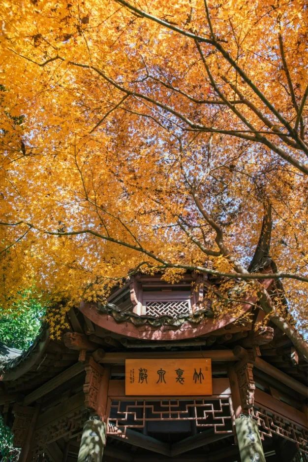 來冷門的瑪瑙寺，賞台灣工藝歷史