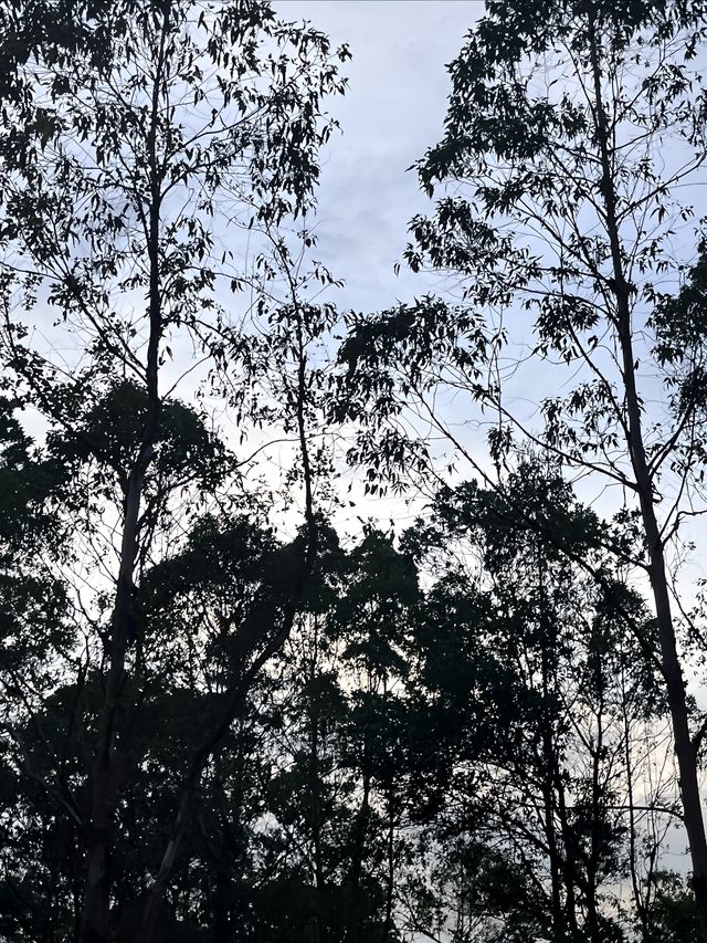 廣州六片山｜週末帶娃出行攻略推薦