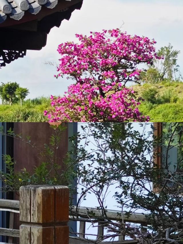 福州長樂居然有這麼美的民宿錦至山莊