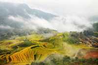 高山雲際梯田，如詩如畫是念山