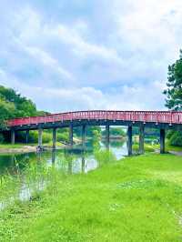 走進美蘭湖，讓時光靜止