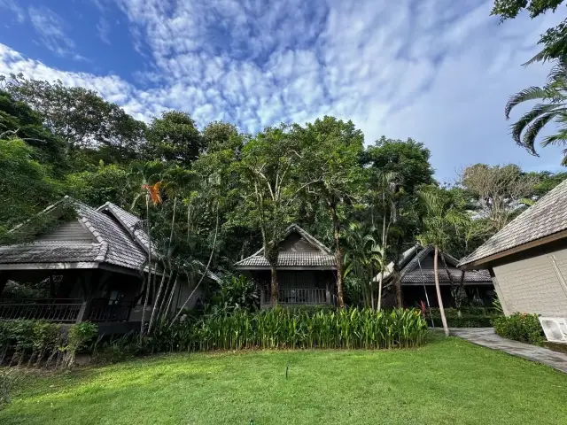 코끼리 섬, 태국에 가면 꼭 봐야 할 곳이며, 먹을 곳이 많습니다