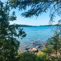 Beautiful Lake Temagami in Canada 🇨🇦