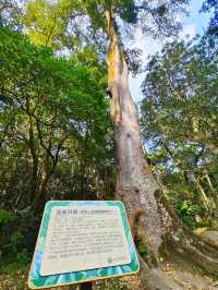 千萬不要錯過這個植物園！！！