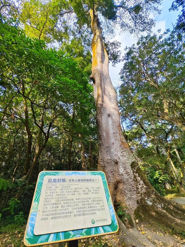 千萬不要錯過這個植物園！！！