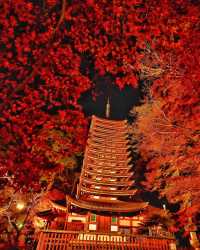 2024年日本【紅葉季攻略】