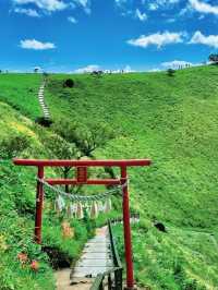 伊豆！被嚴重低估的東京周邊小城一日遊攻略🌊🏞️