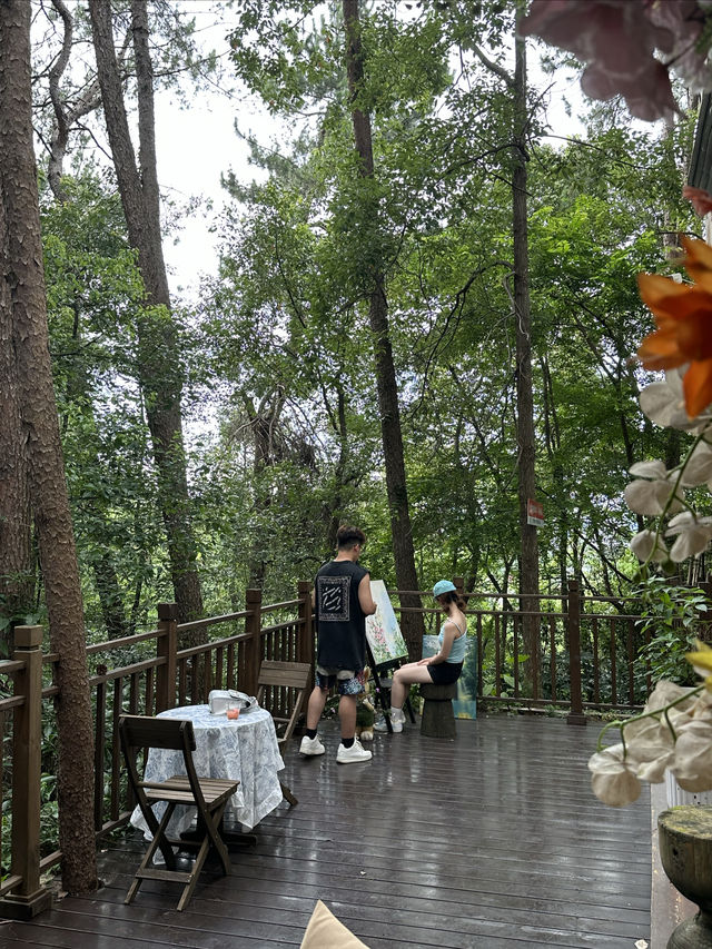 在黄山！找到了森林最美咖啡。