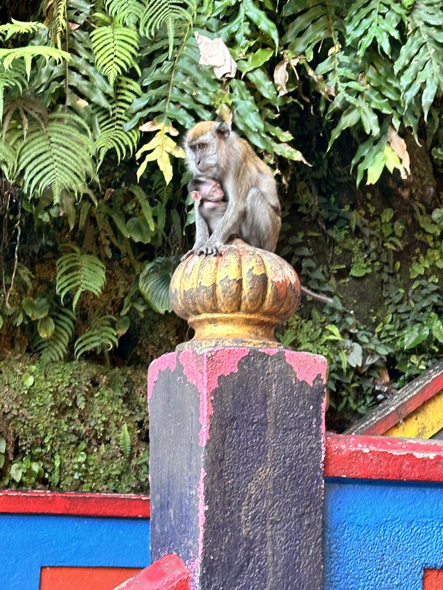 The Iconic Rainbow Stairs of Batu Caves, Kuala Lumpur 