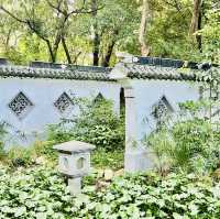 深圳園博園一日遊