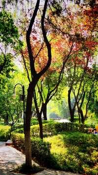 聽講西安豐慶公園錦簇芳菲，打卡過公園"山水綠叢中"才知曉。