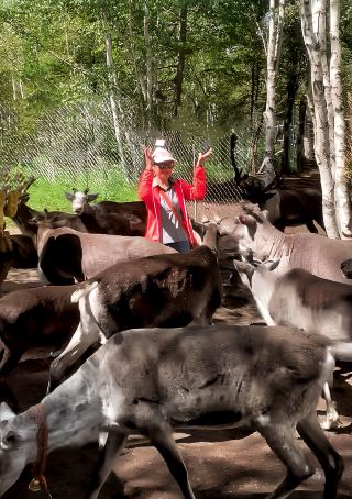 I had a great time with the reindeer. It was rare to see so few people. Let's go to Oroqen. 
