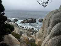 Point Lobos 州保護區。
