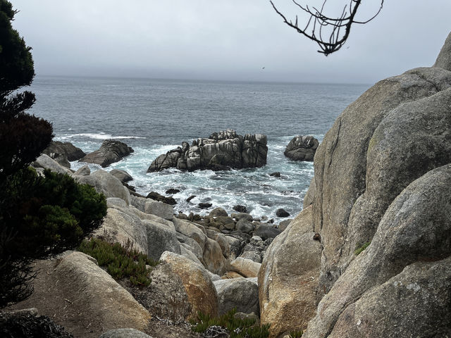 Point Lobos 州保護區。