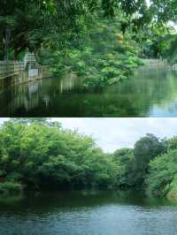 總有一次在公園相遇吧，我怕我會愛上這裡。