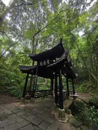 四川峨眉伏虎寺︱藏在山腳下的清幽寺院。