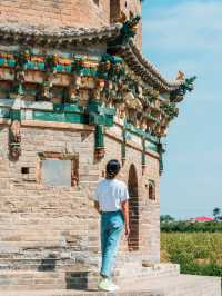 山西真厲害，田裡竟能長出國寶琉璃塔。
