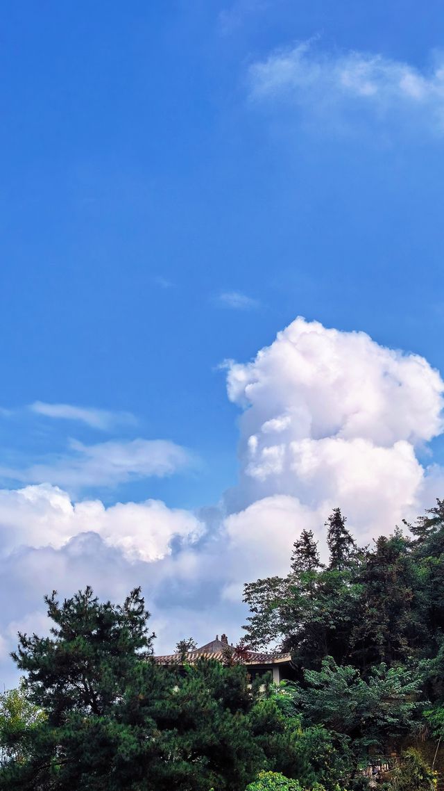 秋天的大明山好療癒｜南寧周邊。
