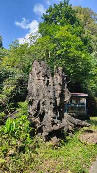 喀斯特世界自然遺產地——施秉雲台山。