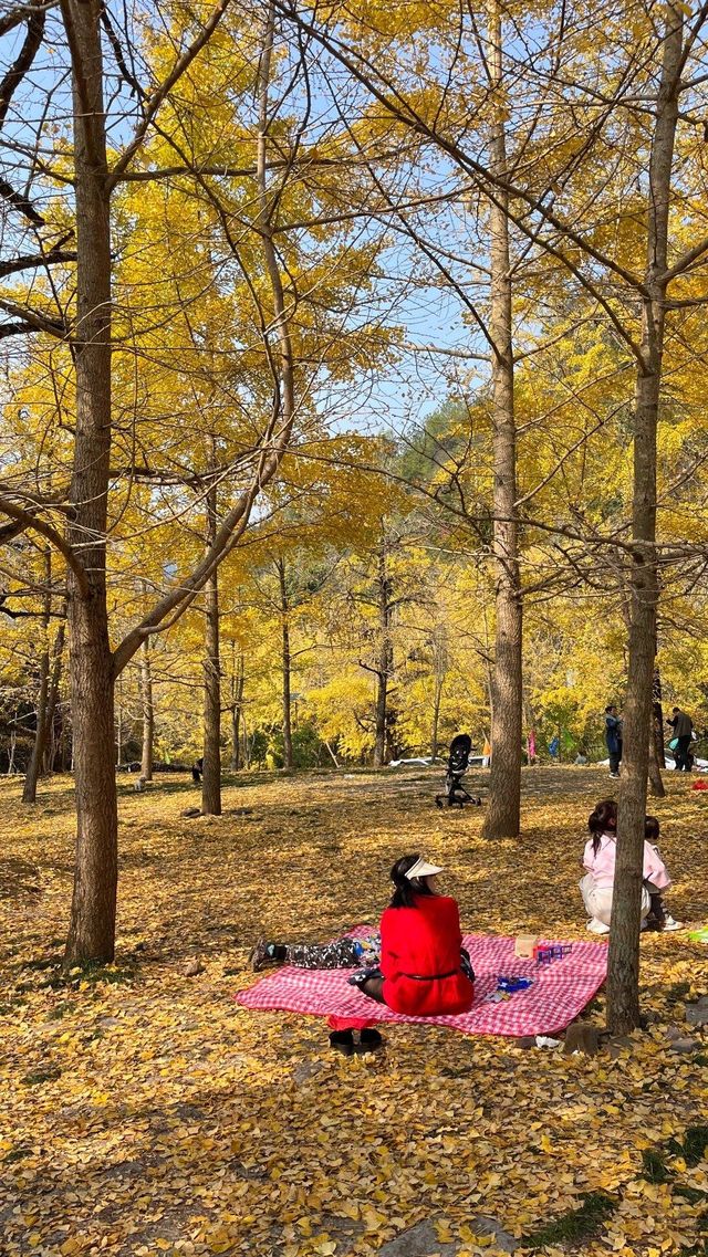 桂林漠川。