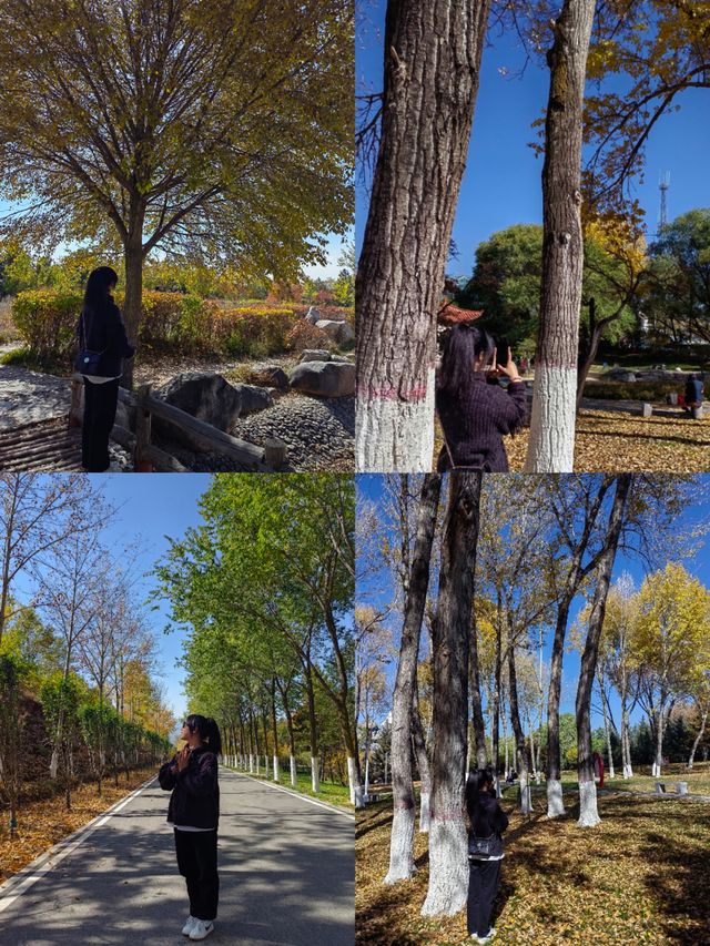 旅遊達人都推薦的隱藏旅行地！速來打卡。