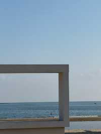 𓅯ˎˊ 秋冬的小島 —— 在海邊「餵海鷗」 。
