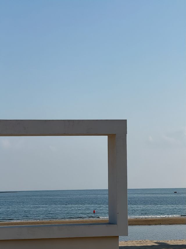 𓅯ˎˊ 秋冬的小島 —— 在海邊「餵海鷗」 。