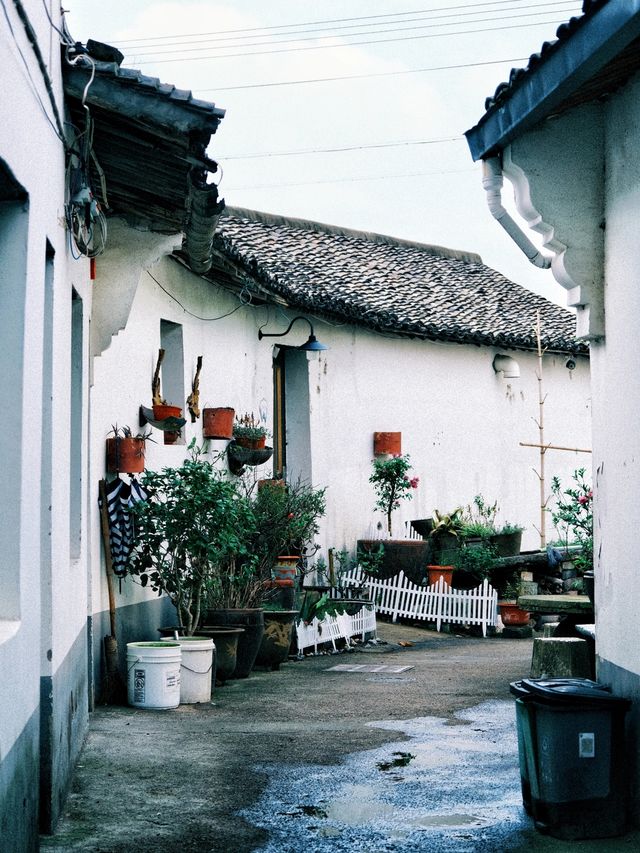 寧波旅遊|東錢湖利民村|寧波的治癒系「小洱海」。