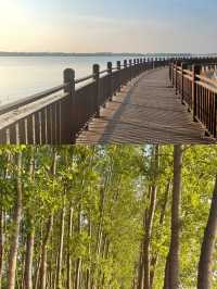 汤河濕地公園，一起享受大自然的美汤阴濕地公園！！！。