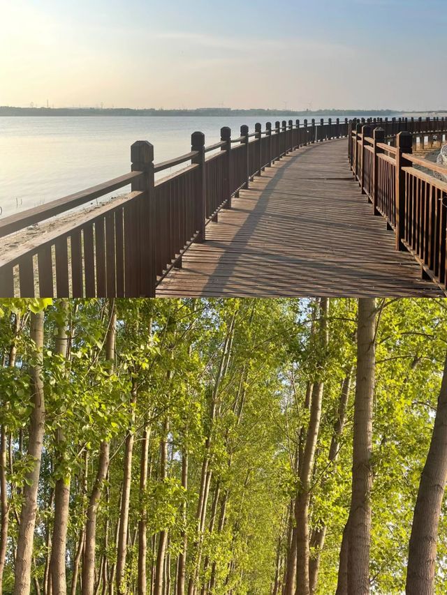 汤河濕地公園，一起享受大自然的美汤阴濕地公園！！！。