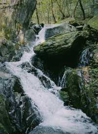 這麼漂亮的山有沒有人想去呢。。