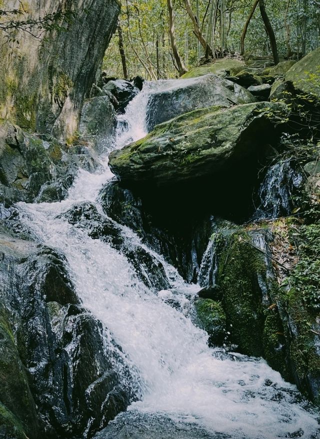 這麼漂亮的山有沒有人想去呢。。