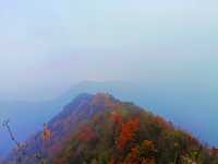 西安‖徒步五道梁觀賞紅葉。