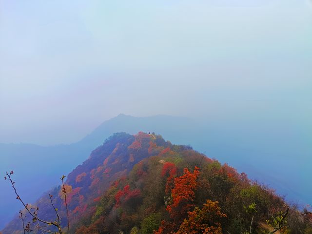 西安‖徒步五道梁觀賞紅葉。
