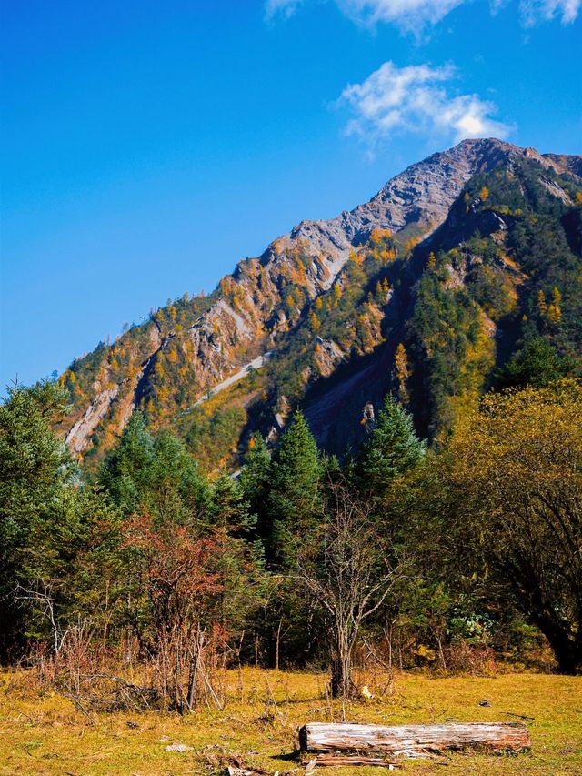 光霧山擠得水洩不通，綿陽這幾處絕美彩林更值得去。
