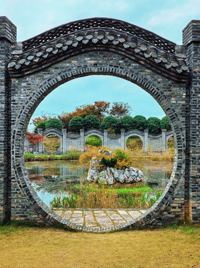 小眾且免費的絕美秋景，務必要來樸園瞧瞧！||。