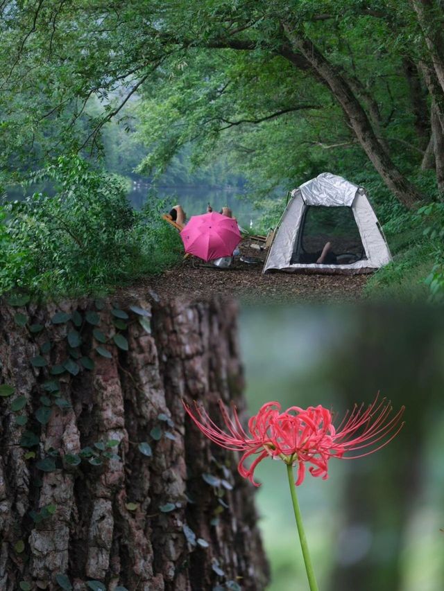 晴江岸。