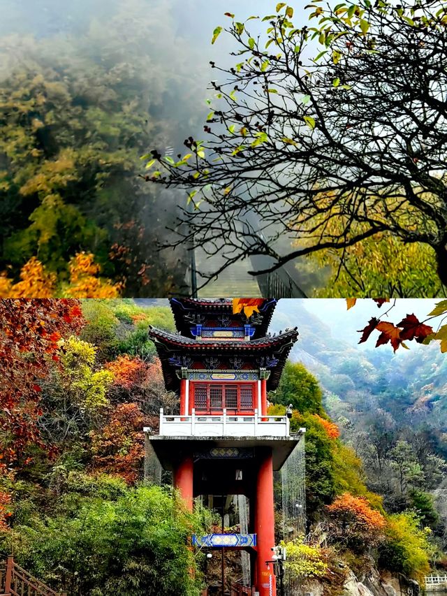 跟着《央視新聞》打卡寶藏賞秋地翠華山2024年11月1日。