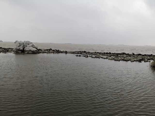 上海小九寨溝~~吳淞炮台灣國家濕地公園。