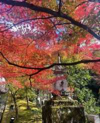 永观堂&南禅寺｜天授庵