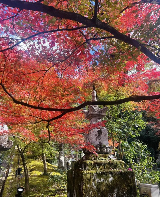 永观堂&南禅寺｜天授庵