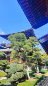 虔誠一日遊。