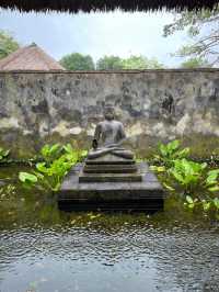 REVIVO養生度假村，換個方式度假    酒店：REVIVO Wellness Resort