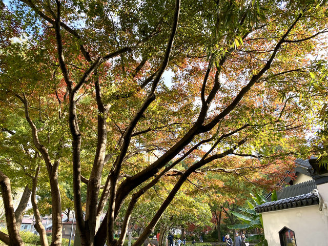 上海，和平公園