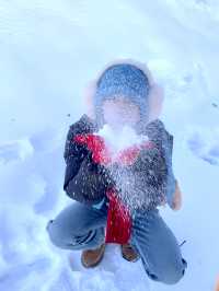 屁股坐爛去看雪