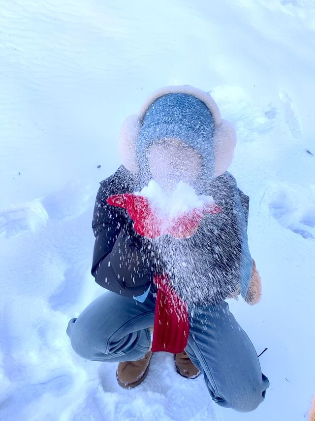 屁股坐爛去看雪
