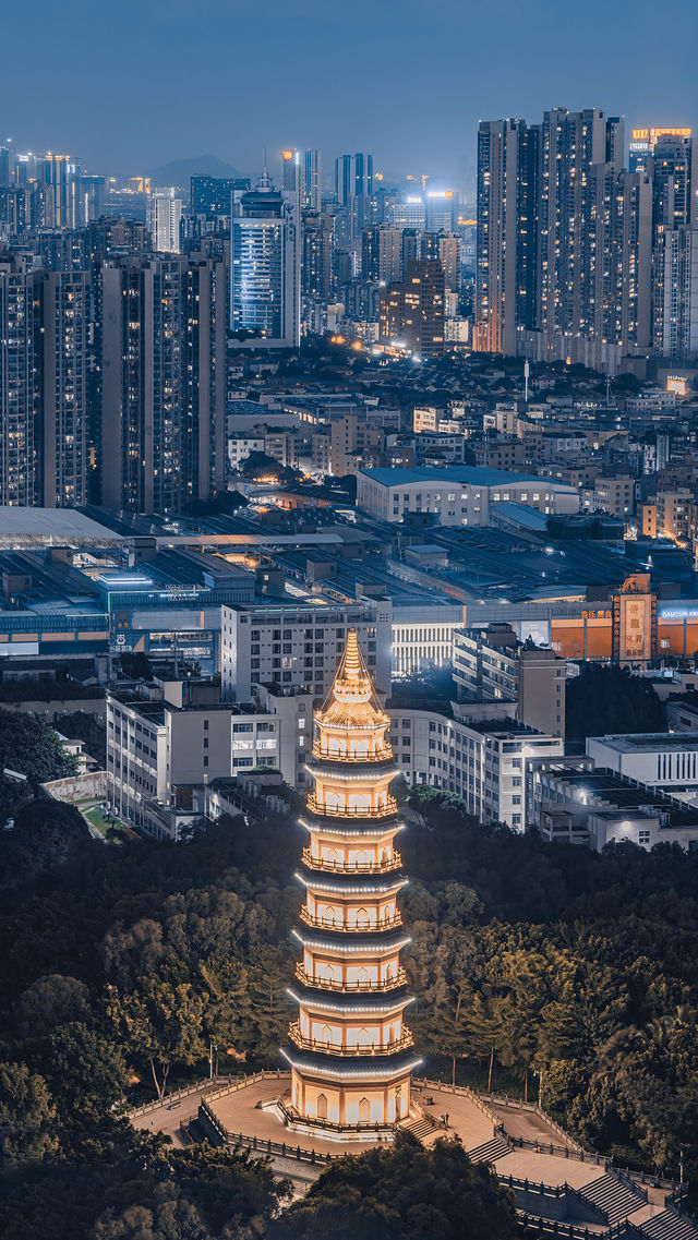 佛山大霧崗森林公園拍照遊玩攻略